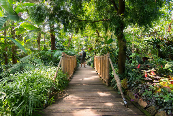 The Bloedel Floral Conservatory in Vancouver, British Columbia