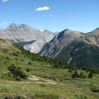Parker Ridge Trail, Banff, Alberta