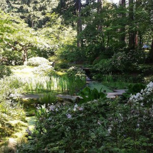 nitobe-botanical-garden-01